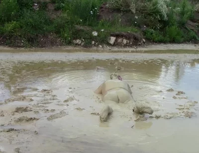 Me Playing in Deep Light Mud