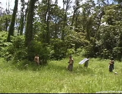 Bts-apex