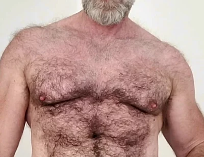 Sexy Hairy Muscle Bear