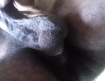 My Ball Sack Swings
