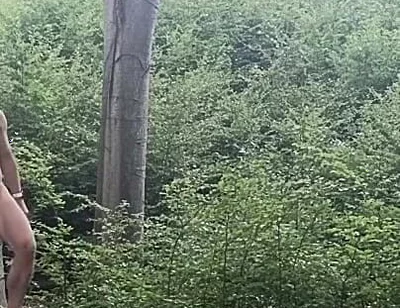 Between the Beeches: Rough Exhibition on Bare Wood