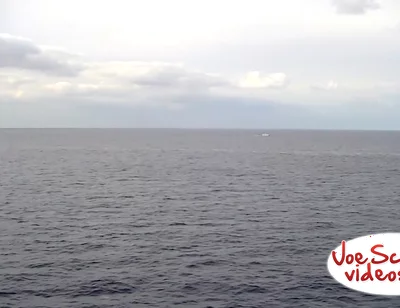 Uncut Brian Blown at Sea