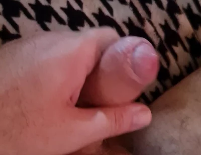 Nice Cock Mirko2589