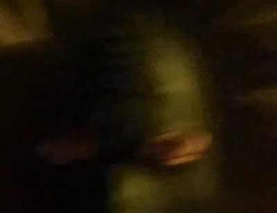 The Slut and Her Cum