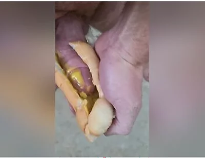 Guy Shoves His Cock Between Two Saucy Buns. Dp Creampie. Asmr. Hotdogs And Mustard
