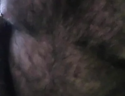Bear Alone