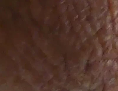 Closeup Desi Dick