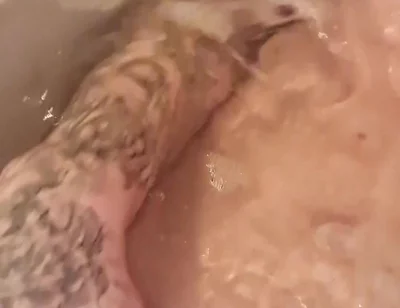 Splash
