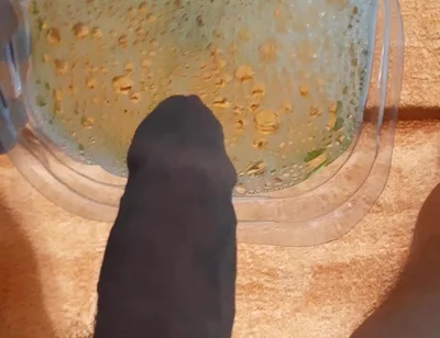 Piss in a Bottle