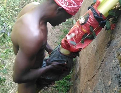 This Is My Christmas Gift for All Girls Xvideo