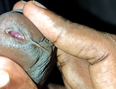 Jerking and cumming again