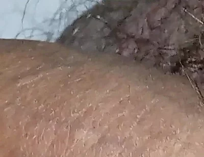 Gresopio in Male Feet 16