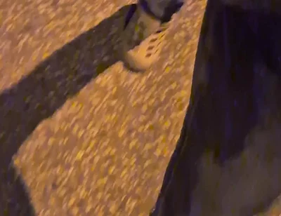 Pissing Jeans in Public