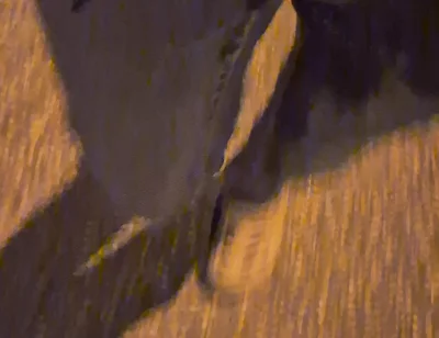 Pissing Jeans Outdoors