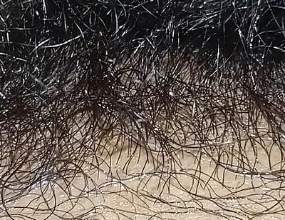 Handboy Masturbation After Frist Time