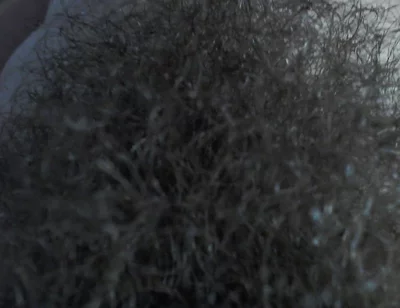 Hairy Pubic a Use Your Faces.