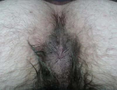 Cock Balls and Hairy Ass of Farts