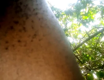 Travel bush