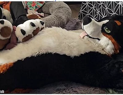 Pawslut Puppy Gets Back To Back Pawjobs With Massive 2nd Cumshot At The End