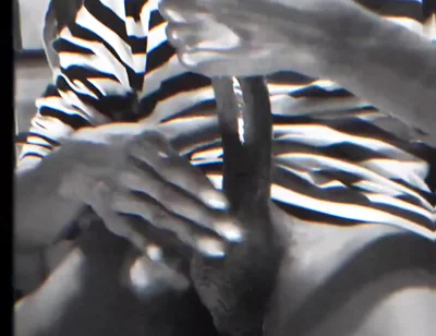 Wanna See a Full Video?