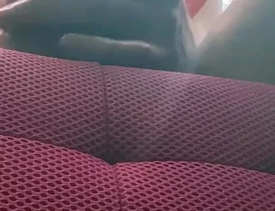 Camera Facing up From Floor See Head of 10 in Bwc Veiny