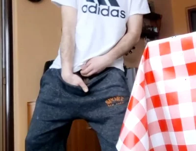 Compilation of Random Videos I Selected