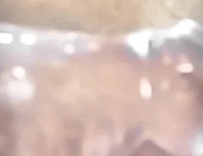 Who Orders Donuts with the Old Man's Penis