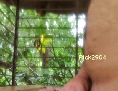 Playing with My Dick