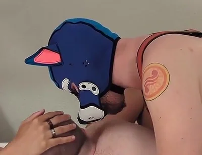 Ginger Bear Spitroasted by 2 Pups