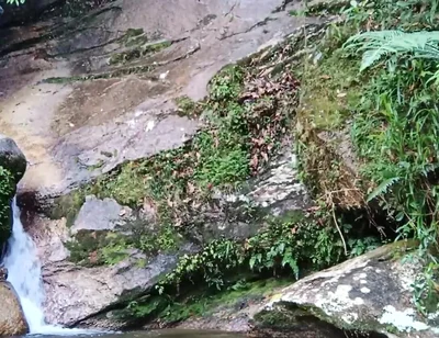 On a Walk to the River - Masturbation and Outdoor Urination