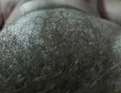 A Alpha's Hairy Pubic Area and Cock