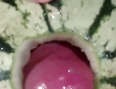 Fucking a Watermelon- the Best Fruit to Fuck