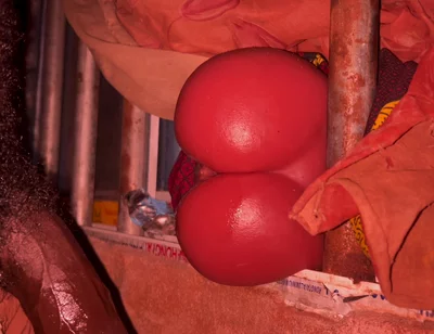 Big Ass Vibrate All Dick to Cum Hubby