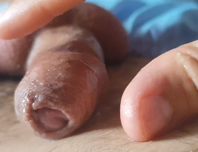 Waste From Insemination of Cargo