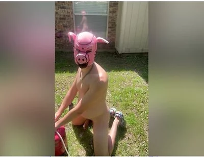 Pig Blown Up By Helium - Belly Inflation