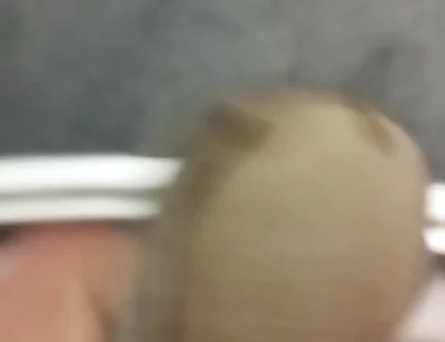 I'm Cumming in My Neighbor's Panties