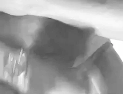 Black & White Black Muscle Daddy Edging and Cum