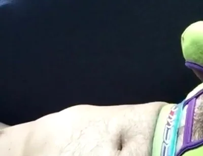 Solo View