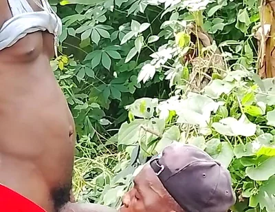 Big Cock Sucker