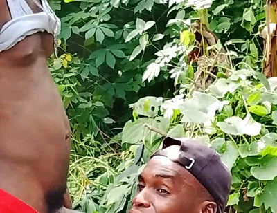 Big Cock Sucker