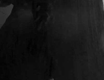 Straight Married Man Fucks Dildo in the Shower (part 1)