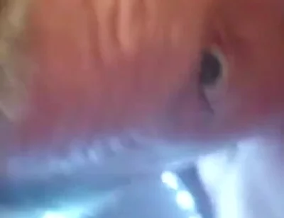 An Intense Orgasm From a Blowjob Cum in Mouth