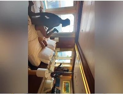 Sucking Dick Outside On Cruise Balcony Then Inside To Get My Ass Filled With A Huge Load!