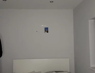 Cock and Ass