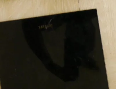 Weighing Your Black Fit Pony