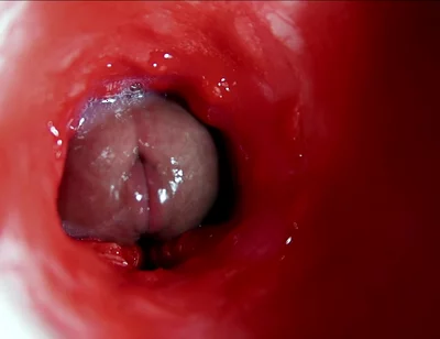 A Big Beautiful Cock Flows Abundantly Inside a Wet Slippery Hole and Smacks!
