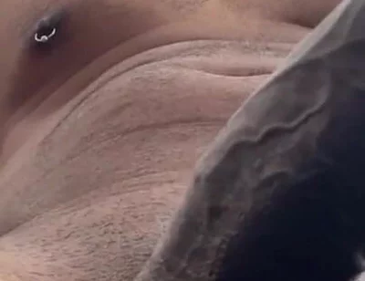 Cock Lovers. POV