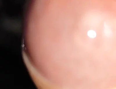 Waking up Excited and with My Cock Soaked in Precum.