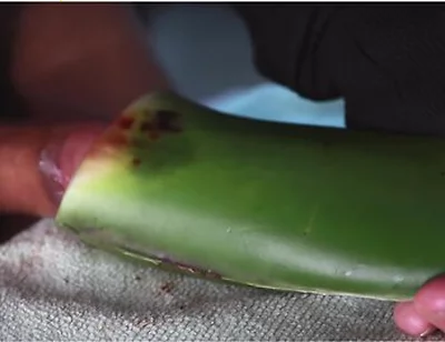 Jerking Off With Aloe Vera Ultil I Nut A Thick Load