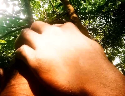 Morning Session